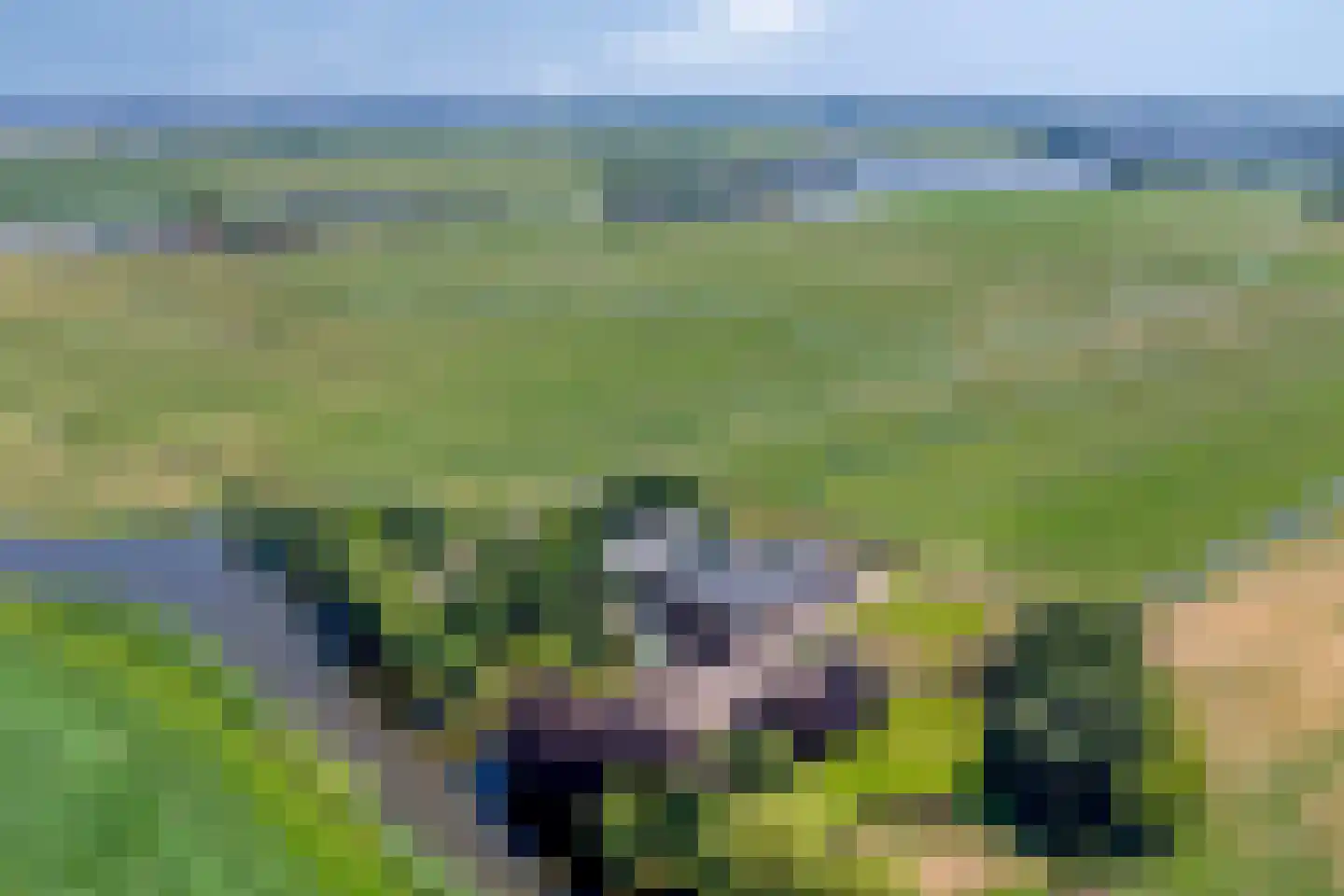 Buurterpolder 3 Rijpwetering thumbnail 4