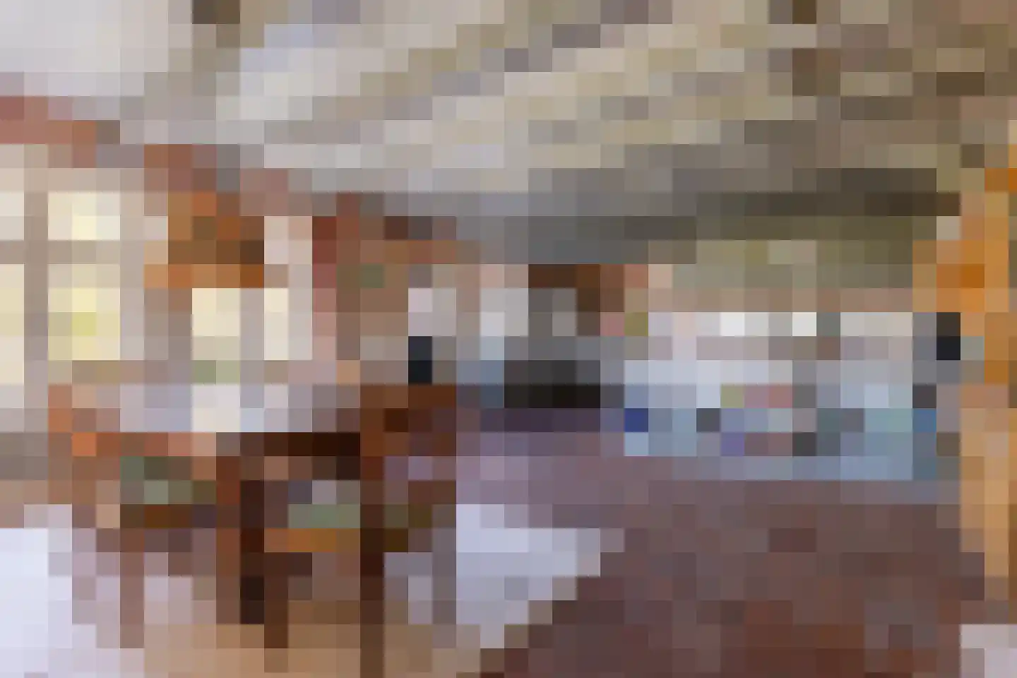 Buurterpolder 3 Rijpwetering thumbnail 41