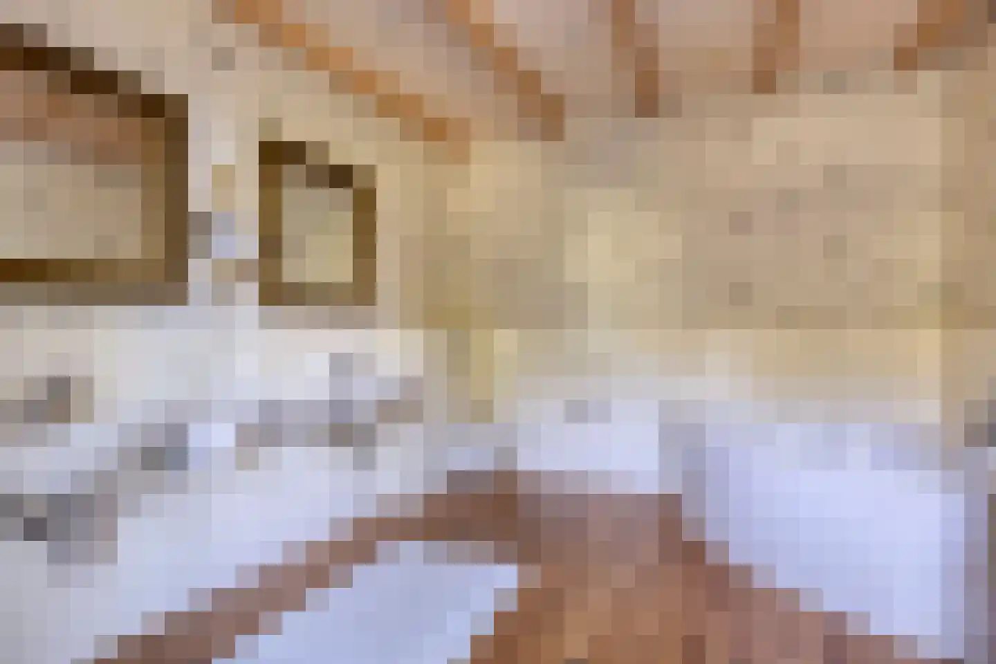 Buurterpolder 3 Rijpwetering thumbnail 48