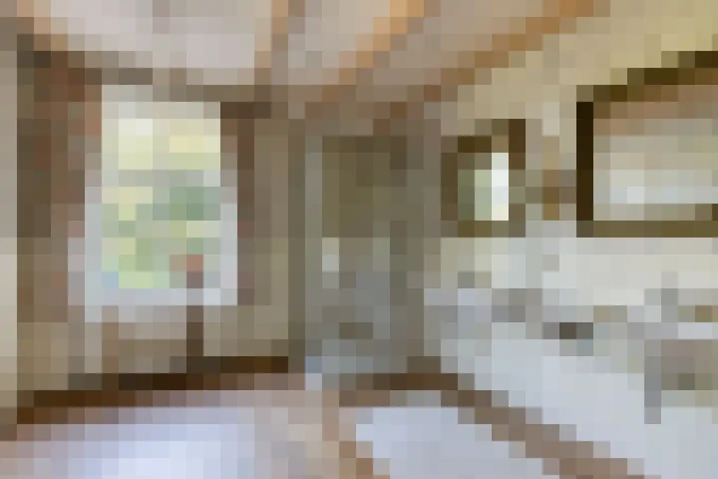 Buurterpolder 3 Rijpwetering thumbnail 49