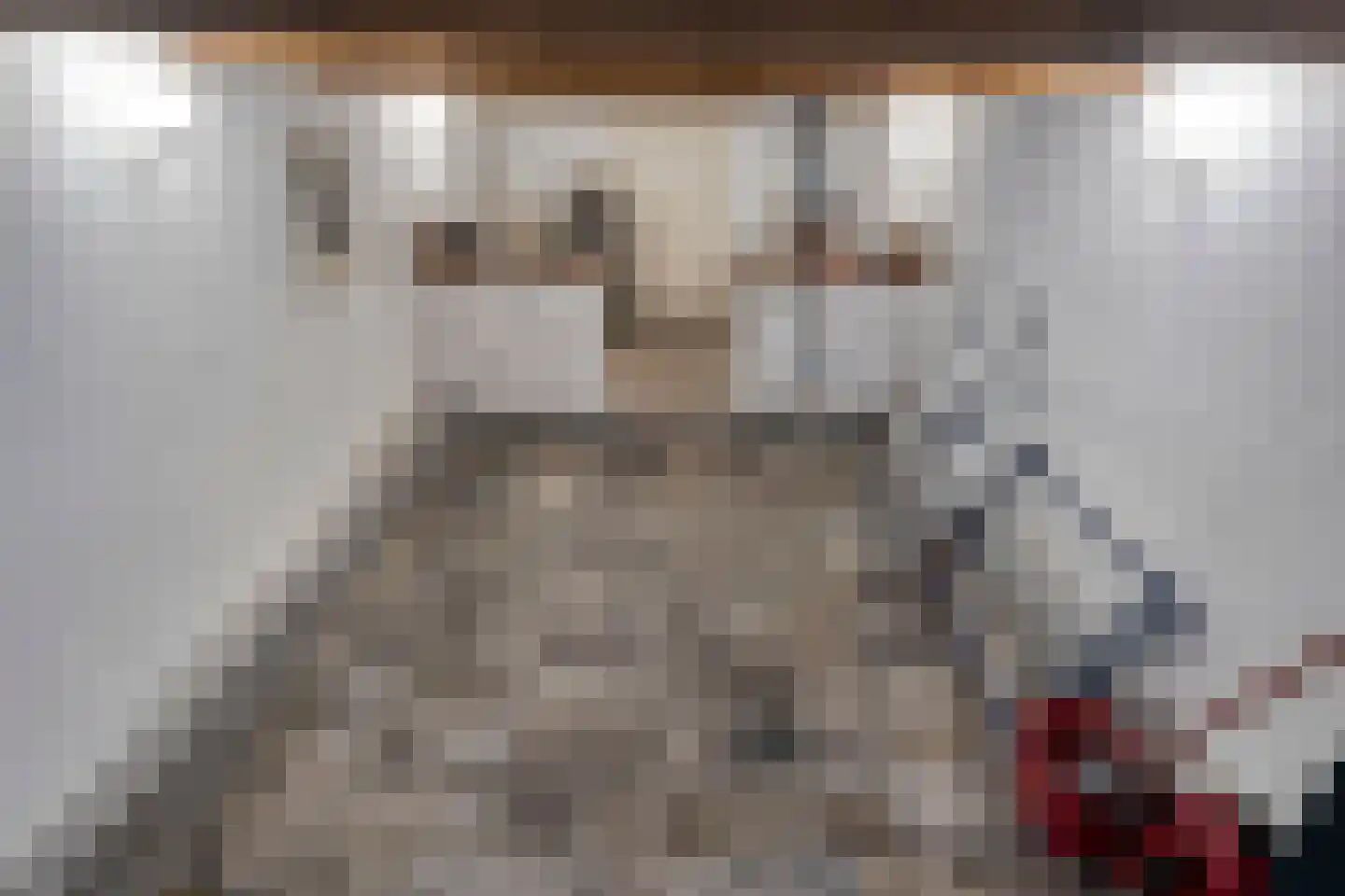 Buurterpolder 3 Rijpwetering thumbnail 51