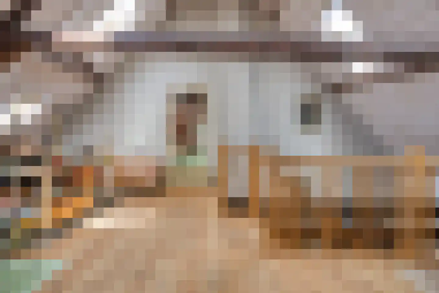 Buurterpolder 3 Rijpwetering thumbnail 54