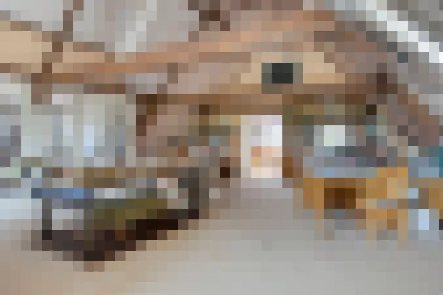 Buurterpolder 3 Rijpwetering thumbnail 57