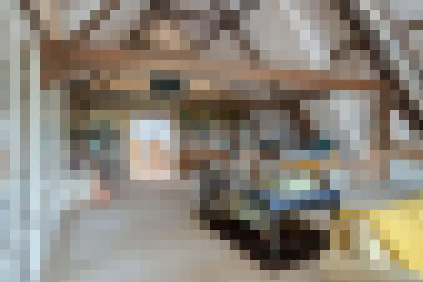 Buurterpolder 3 Rijpwetering thumbnail 58