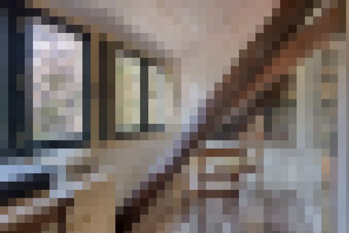 Buurterpolder 3 Rijpwetering thumbnail 60