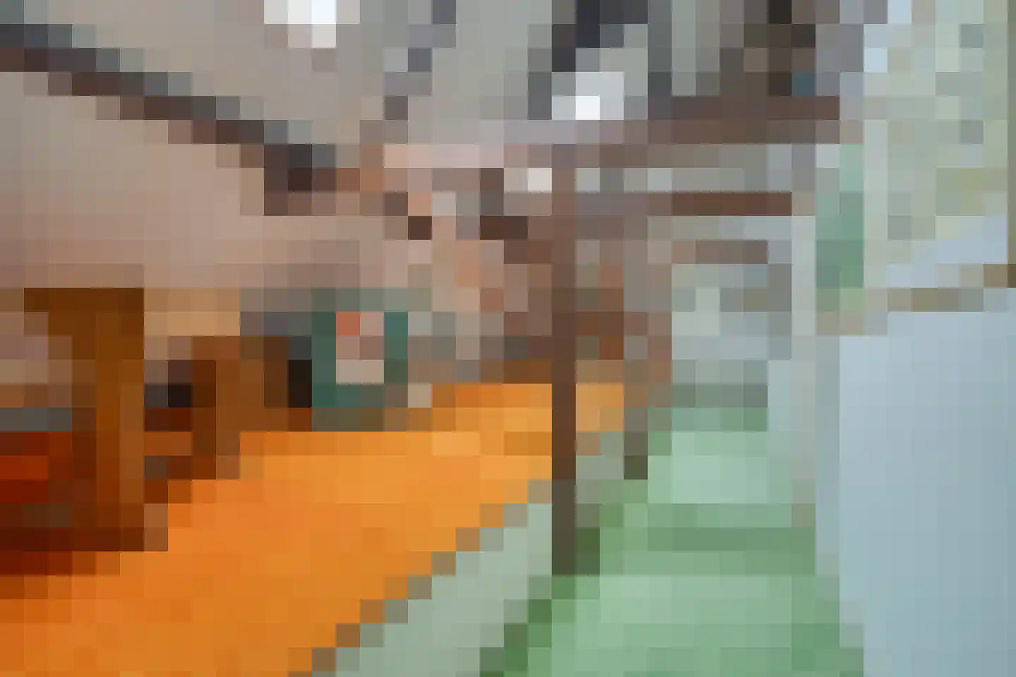 Buurterpolder 3 Rijpwetering thumbnail 63