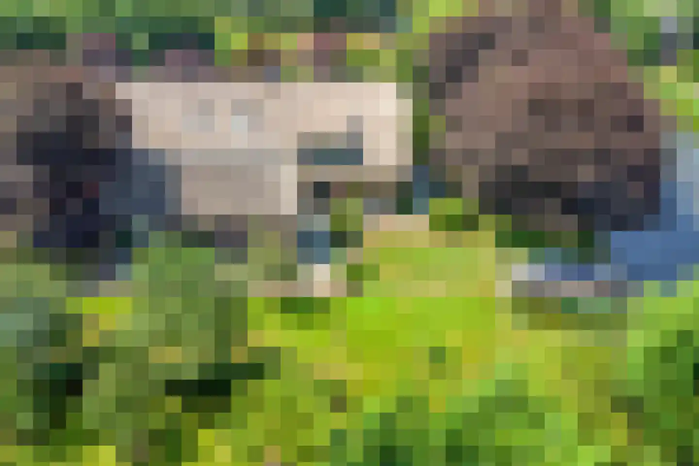 Buurterpolder 3 Rijpwetering thumbnail 7