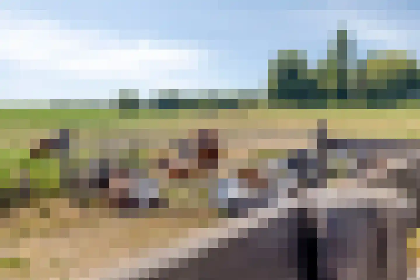 Buurterpolder 3 Rijpwetering thumbnail 73