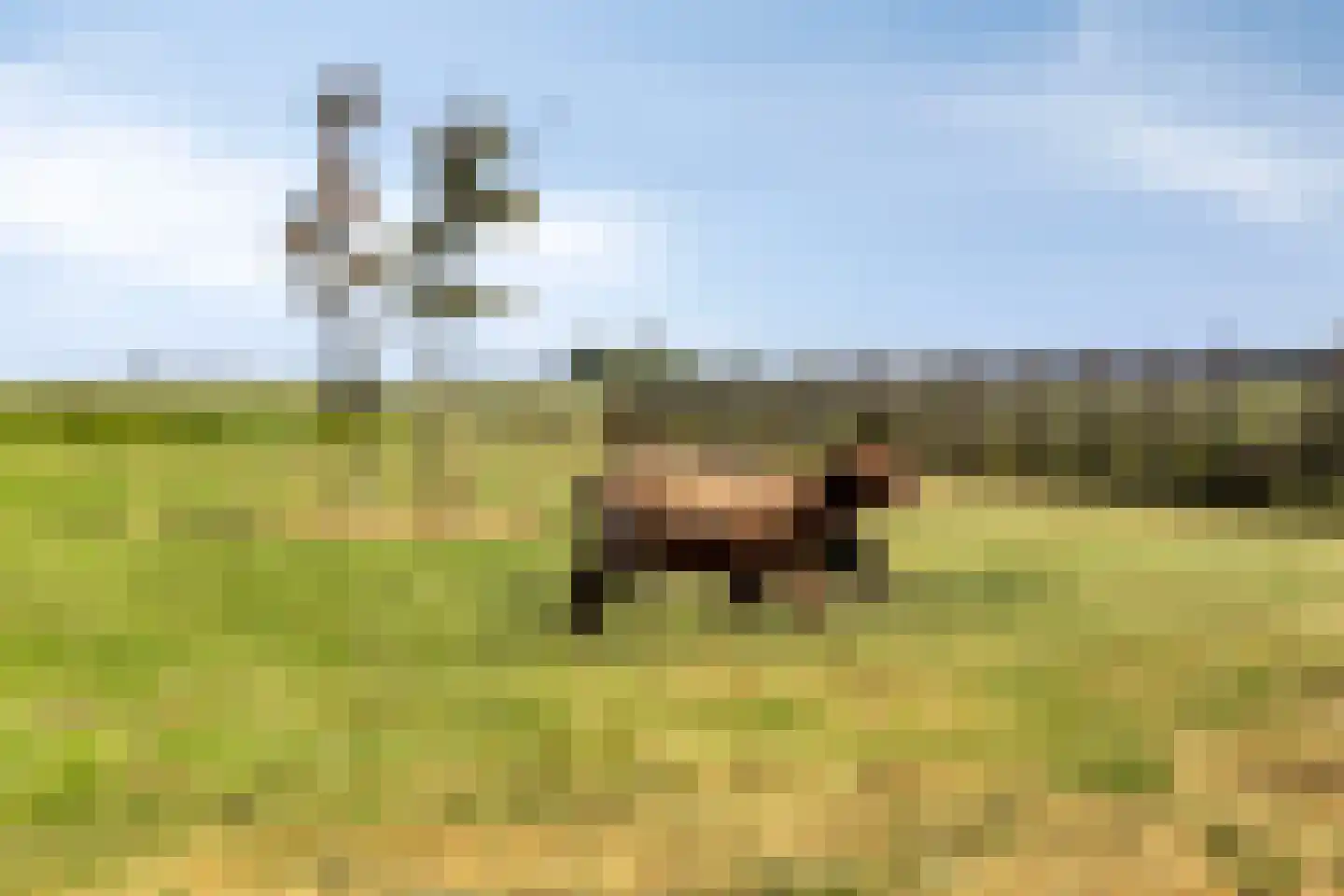 Buurterpolder 3 Rijpwetering thumbnail 74