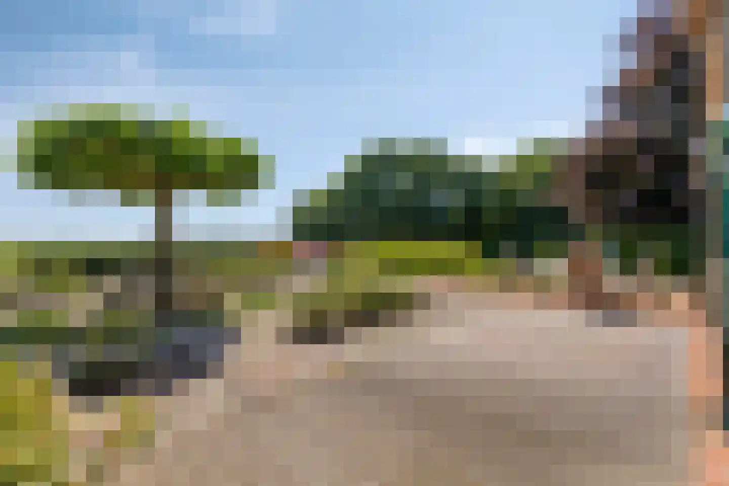 Buurterpolder 3 Rijpwetering thumbnail 78