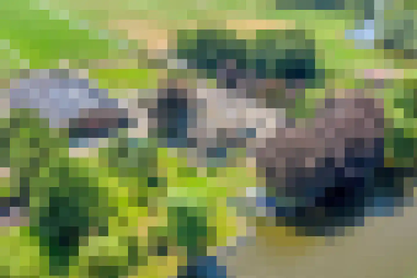 Buurterpolder 3 Rijpwetering thumbnail 8