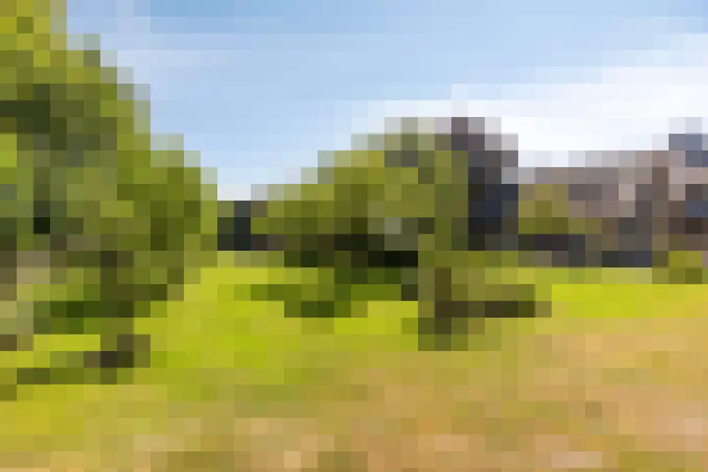 Buurterpolder 3 Rijpwetering thumbnail 83