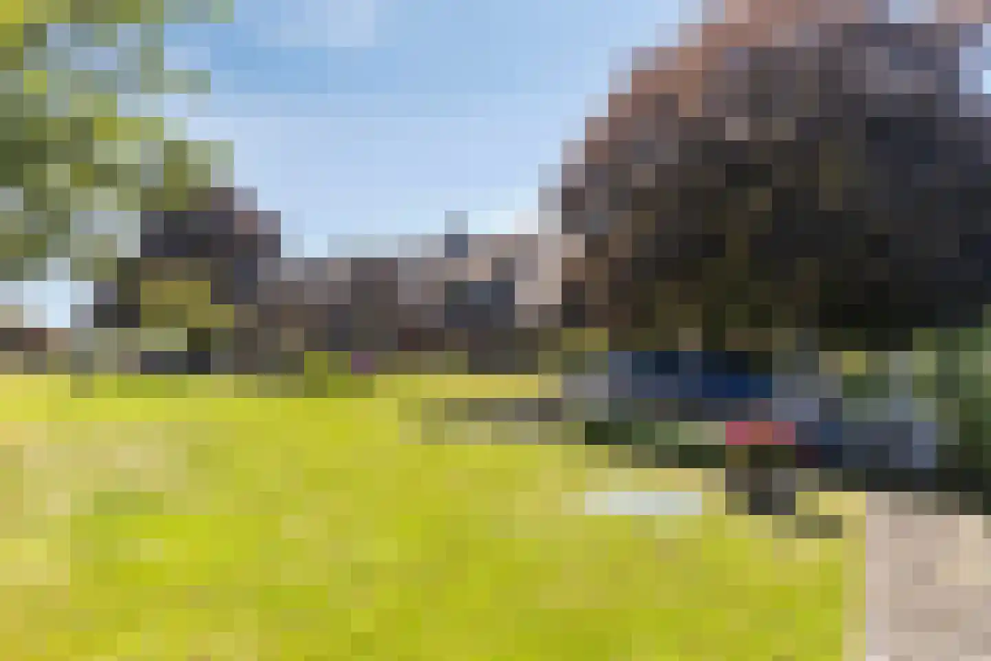 Buurterpolder 3 Rijpwetering thumbnail 84