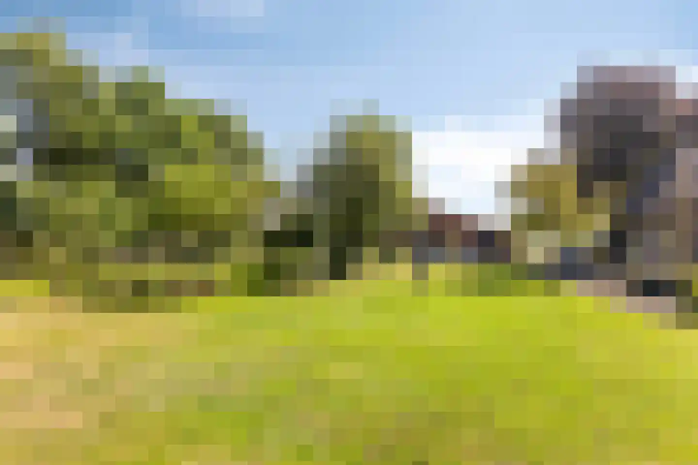 Buurterpolder 3 Rijpwetering thumbnail 85