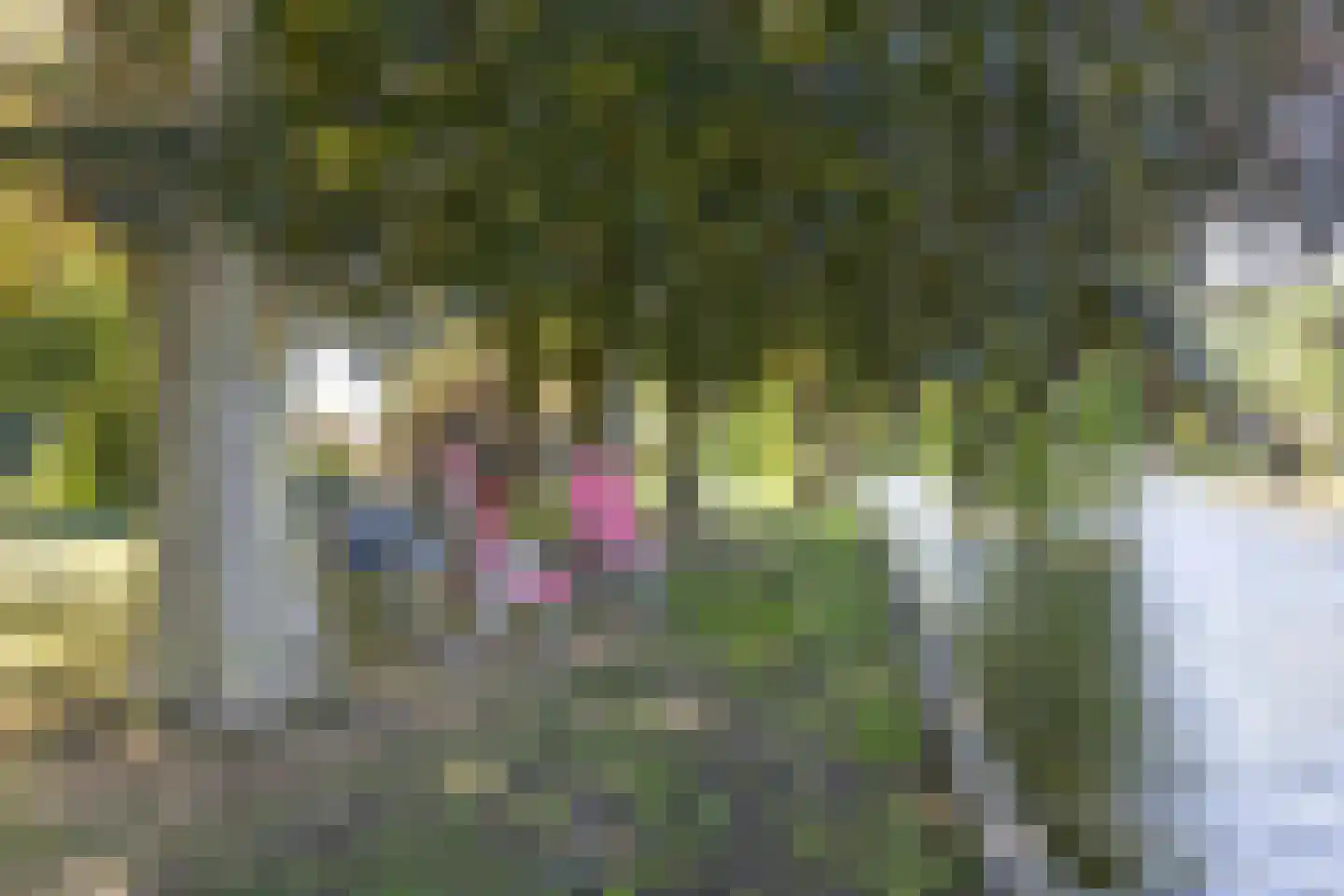 Buurterpolder 3 Rijpwetering thumbnail 86
