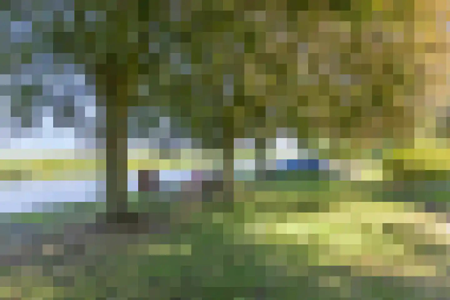 Buurterpolder 3 Rijpwetering thumbnail 87