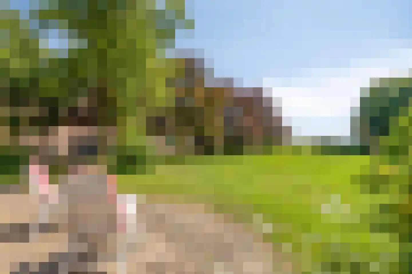 Buurterpolder 3 Rijpwetering thumbnail 88