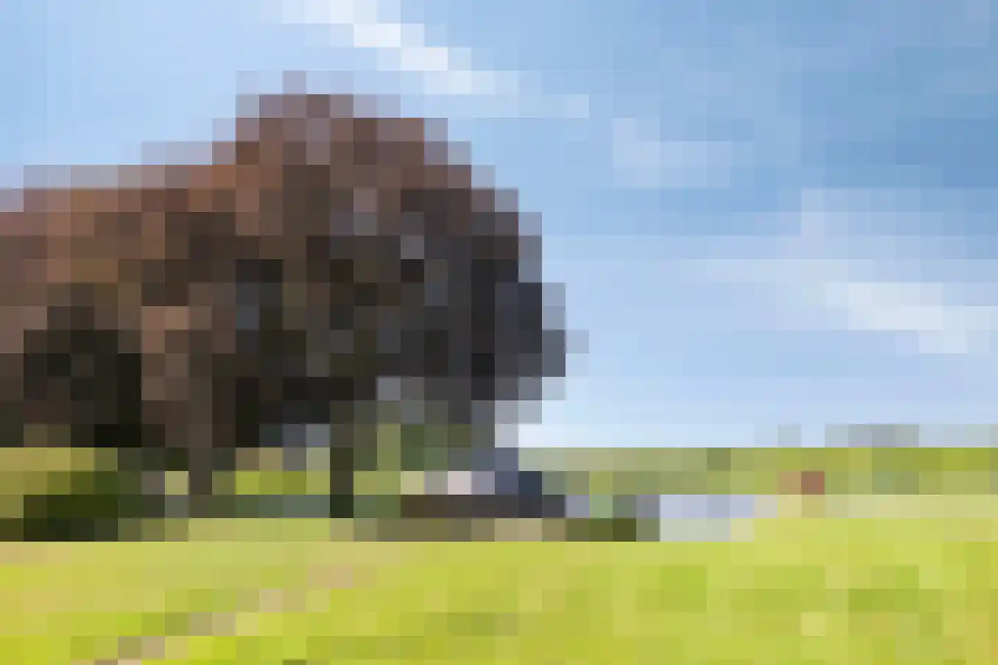 Buurterpolder 3 Rijpwetering thumbnail 91