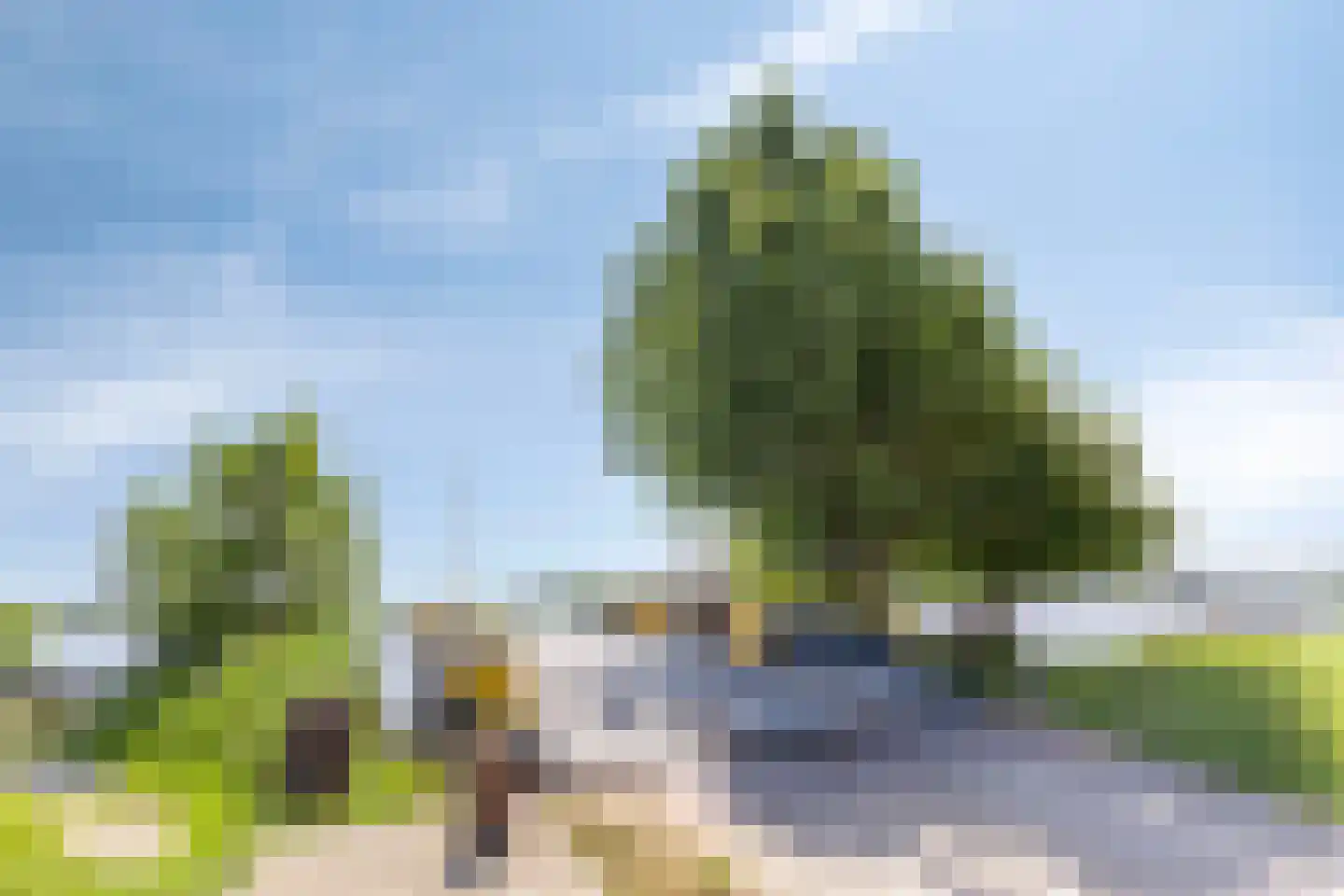 Buurterpolder 3 Rijpwetering thumbnail 94