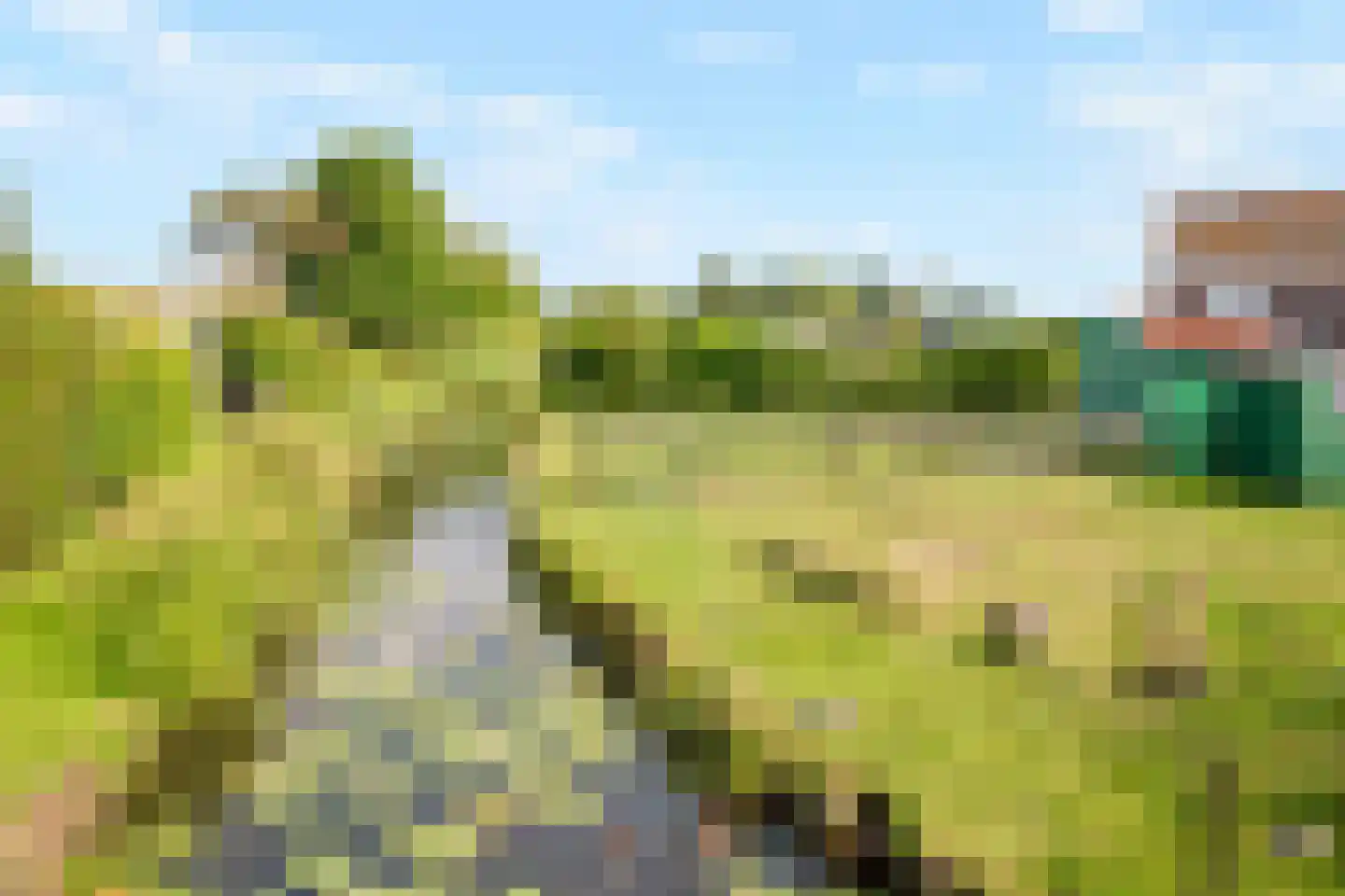 Buurterstraat 19 Marken thumbnail 12
