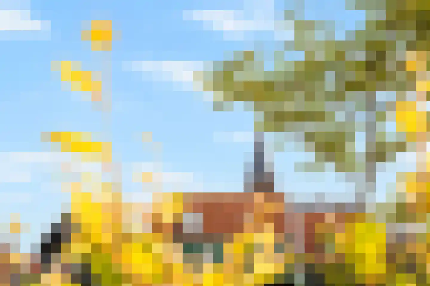 Buurterstraat 19 Marken thumbnail 9