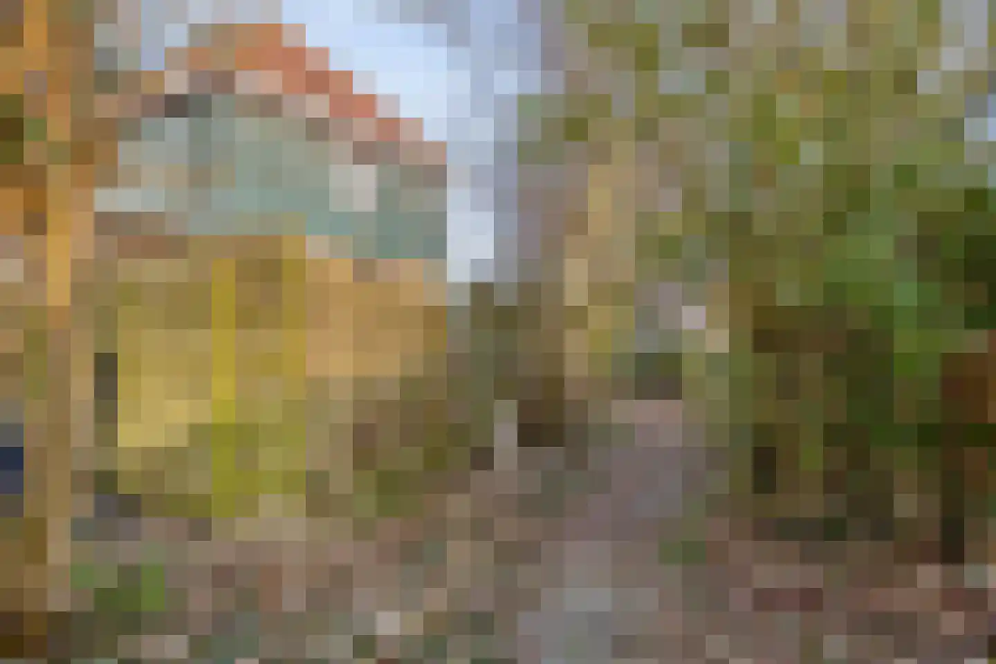 Buurterstraat 21 Marken thumbnail 21