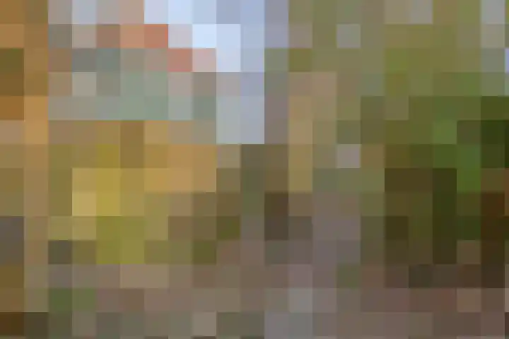 Buurterstraat 21 Marken thumbnail 21