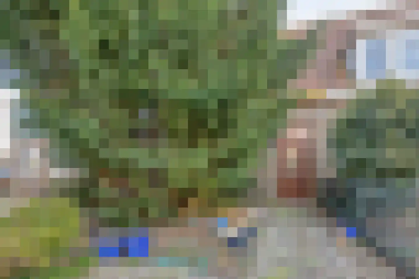 Buurterstraat 21 Marken thumbnail 23
