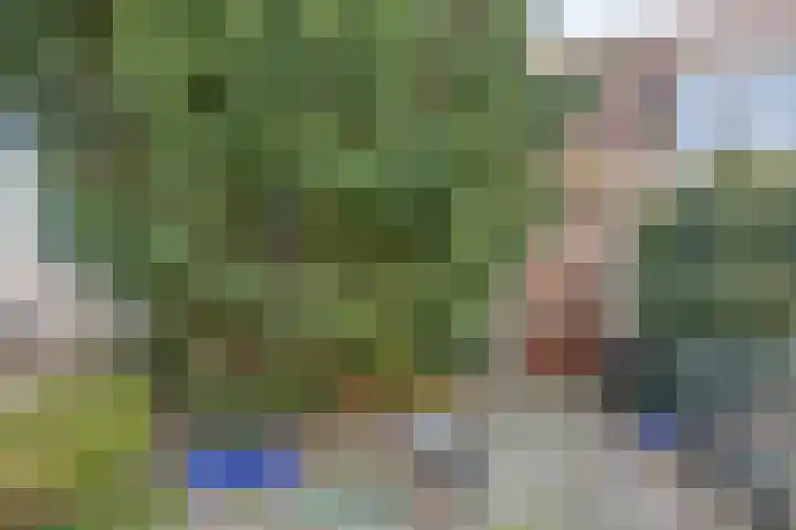 Buurterstraat 21 Marken thumbnail 23