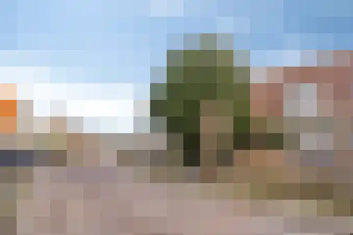 Buurterstraat 21 Marken thumbnail 24