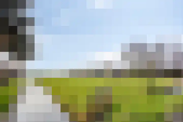 Buurterstraat 21 Marken thumbnail 26