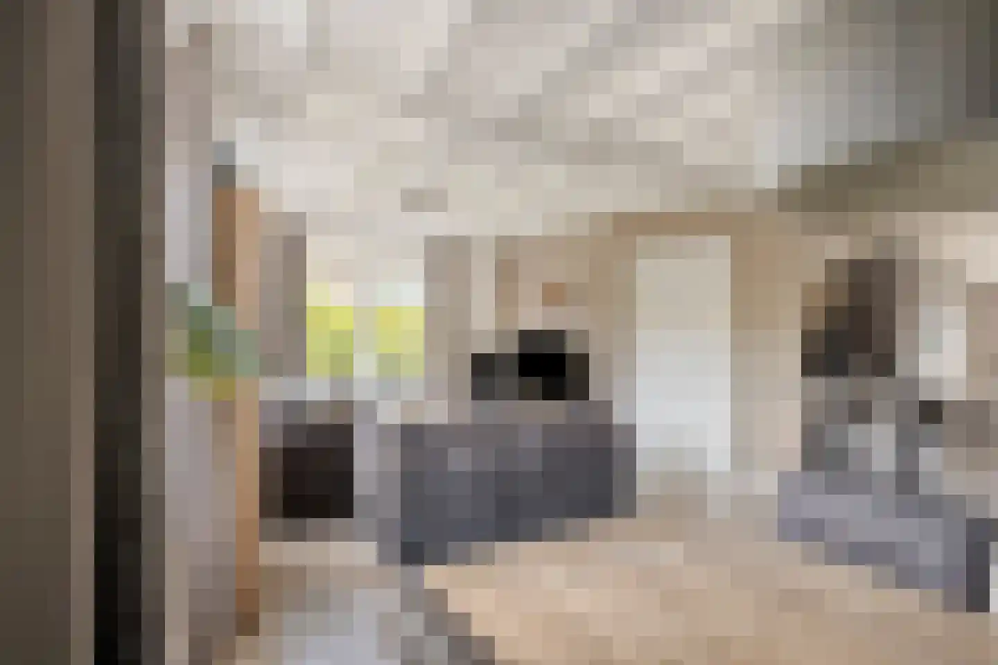 Buurterstraat 35 B Marken thumbnail 14