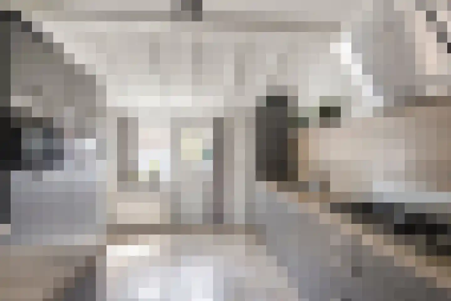 Buurterstraat 35 B Marken thumbnail 21