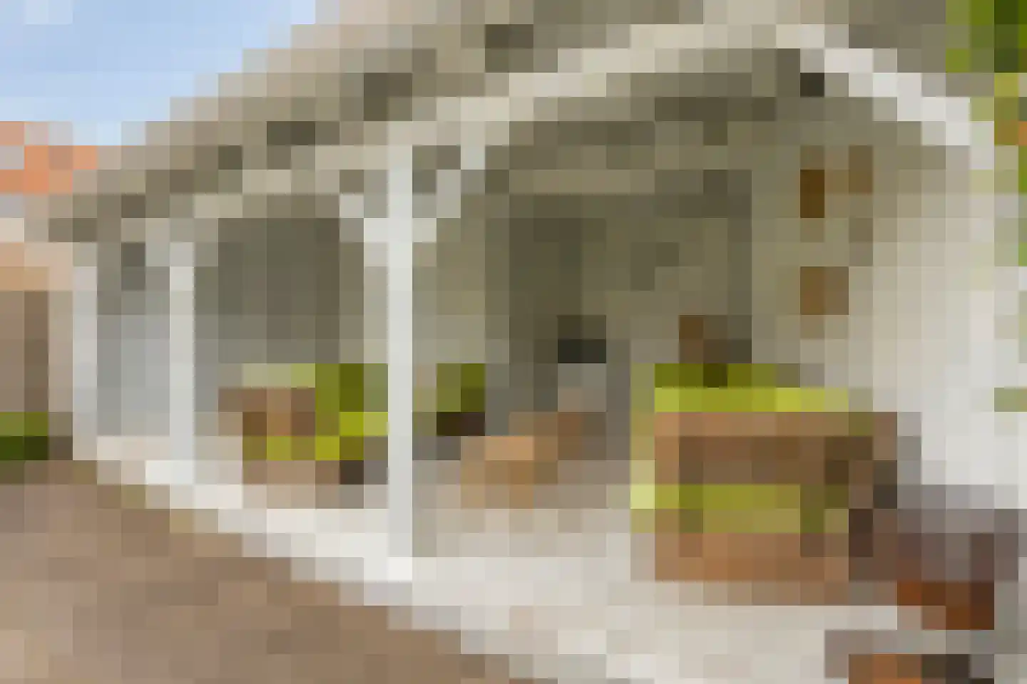 Buurterstraat 35 B Marken thumbnail 4