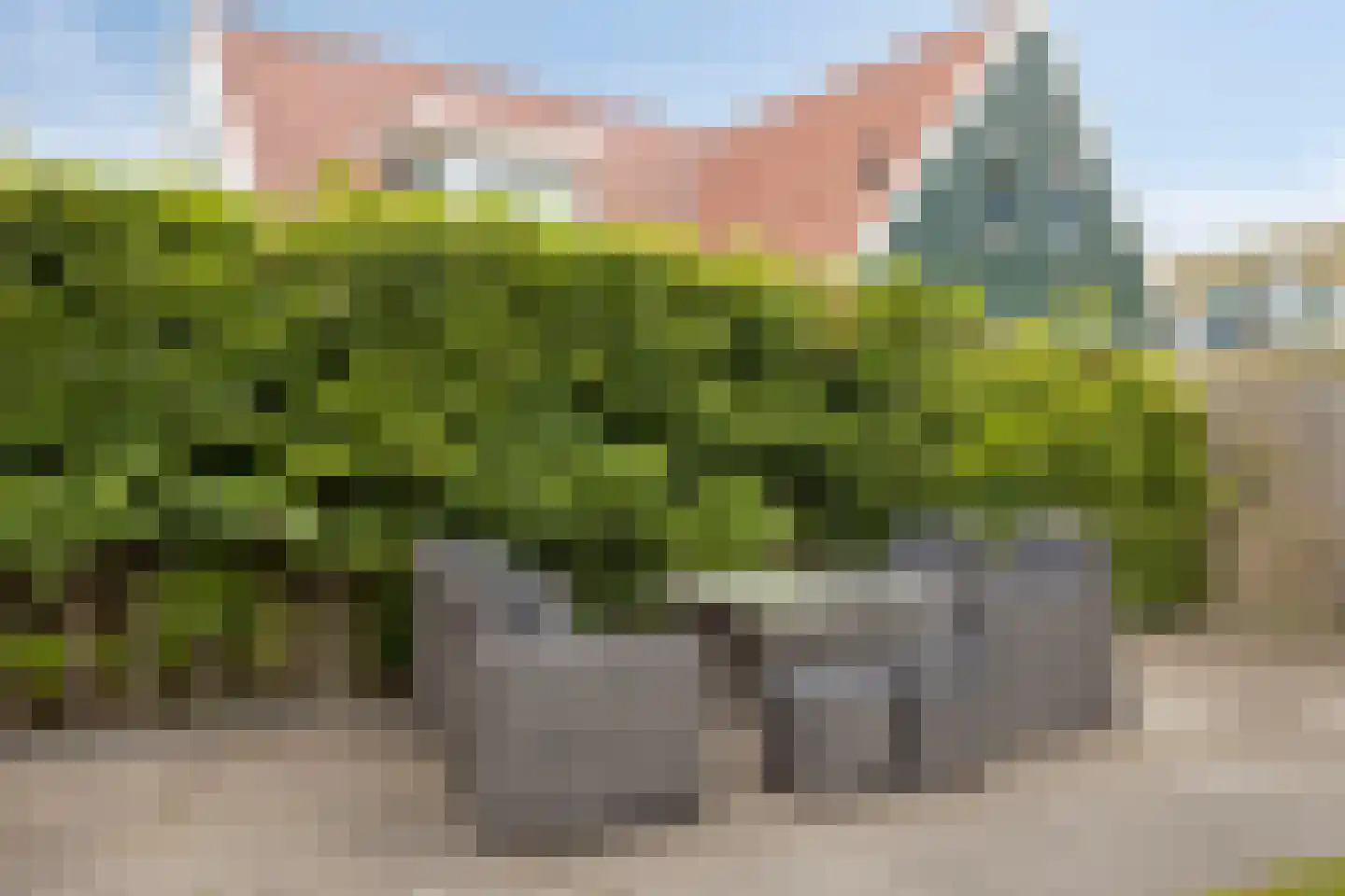 Buurterstraat 35 B Marken thumbnail 57