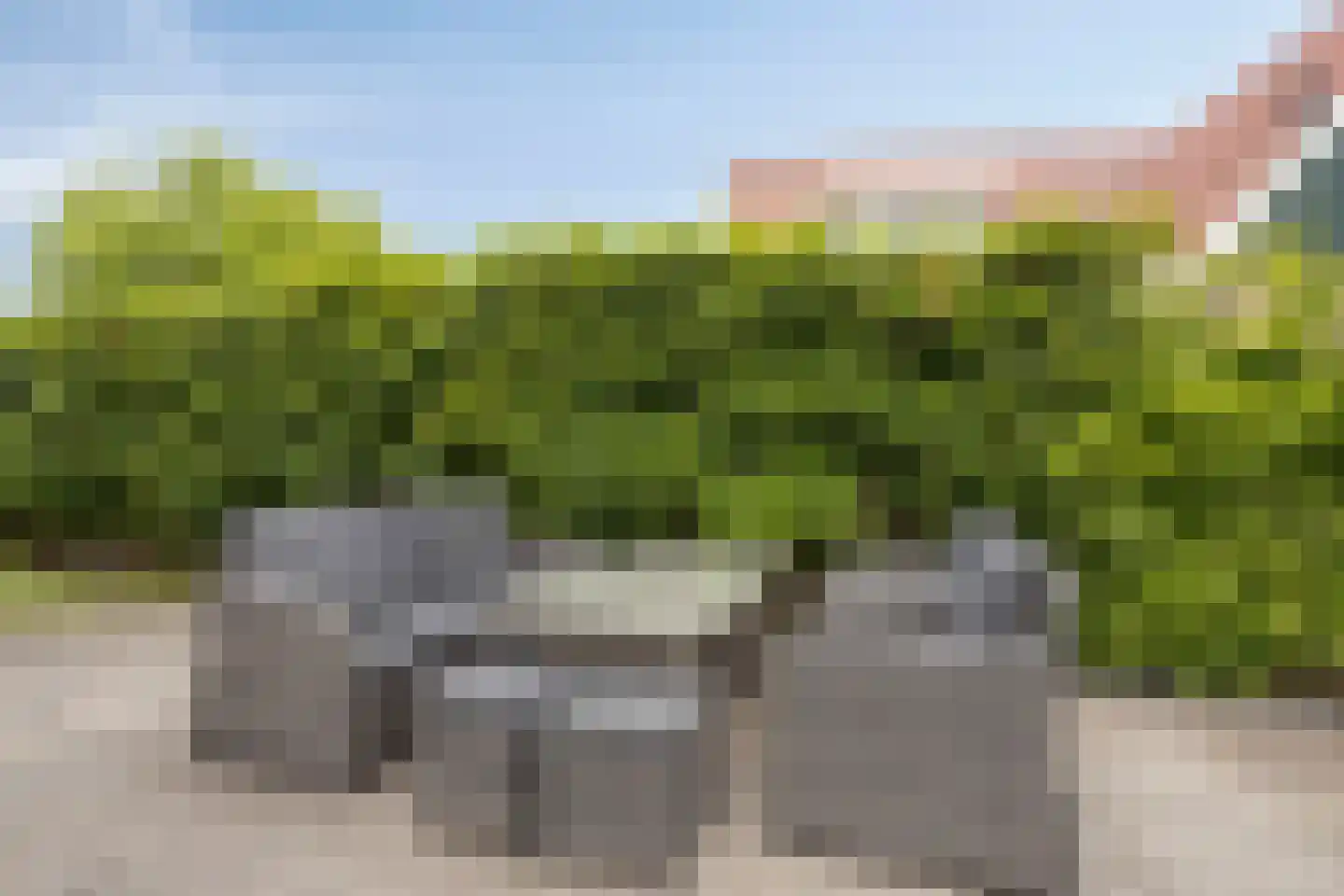 Buurterstraat 35 B Marken thumbnail 59