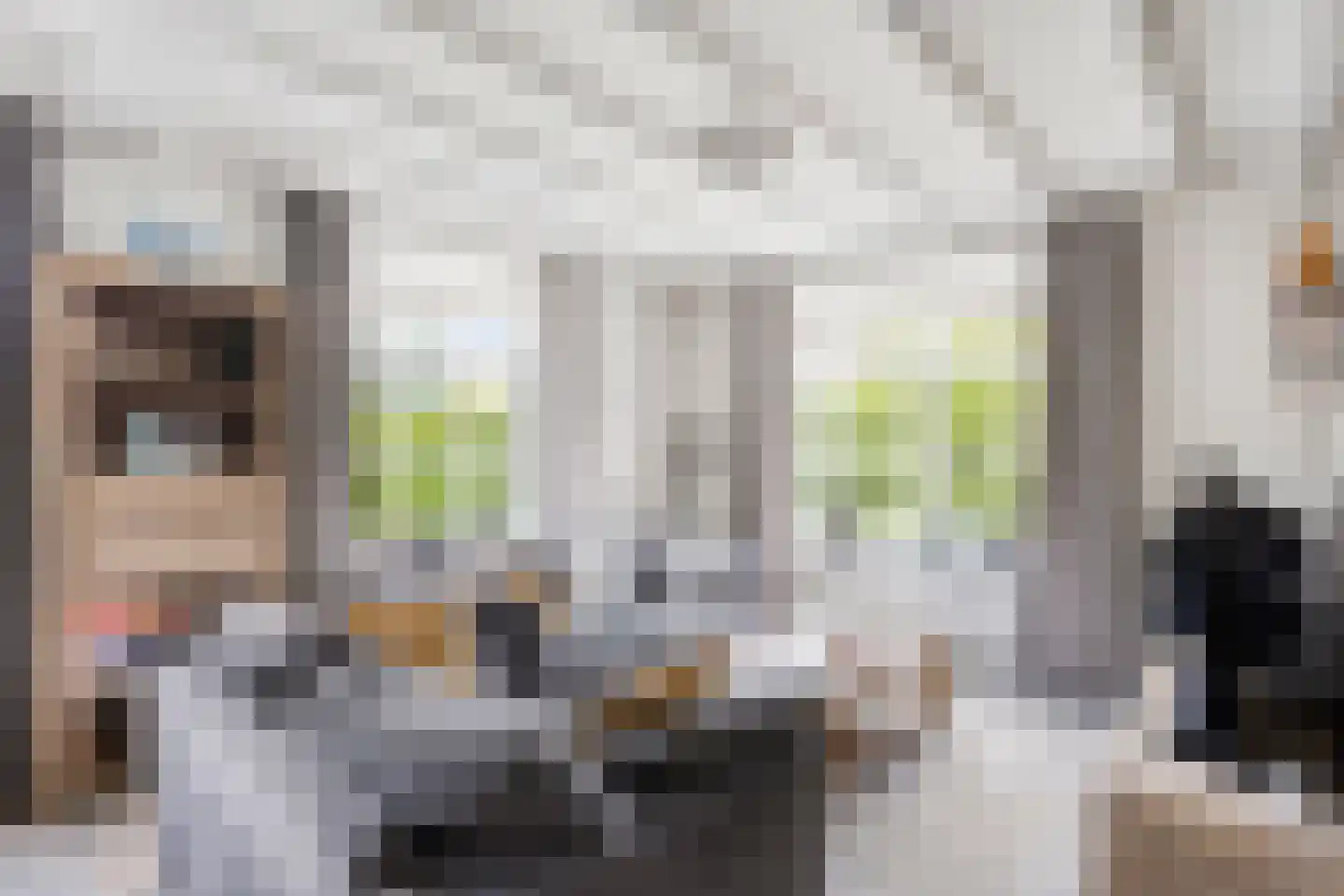 Buurterstraat 35 B Marken thumbnail 8