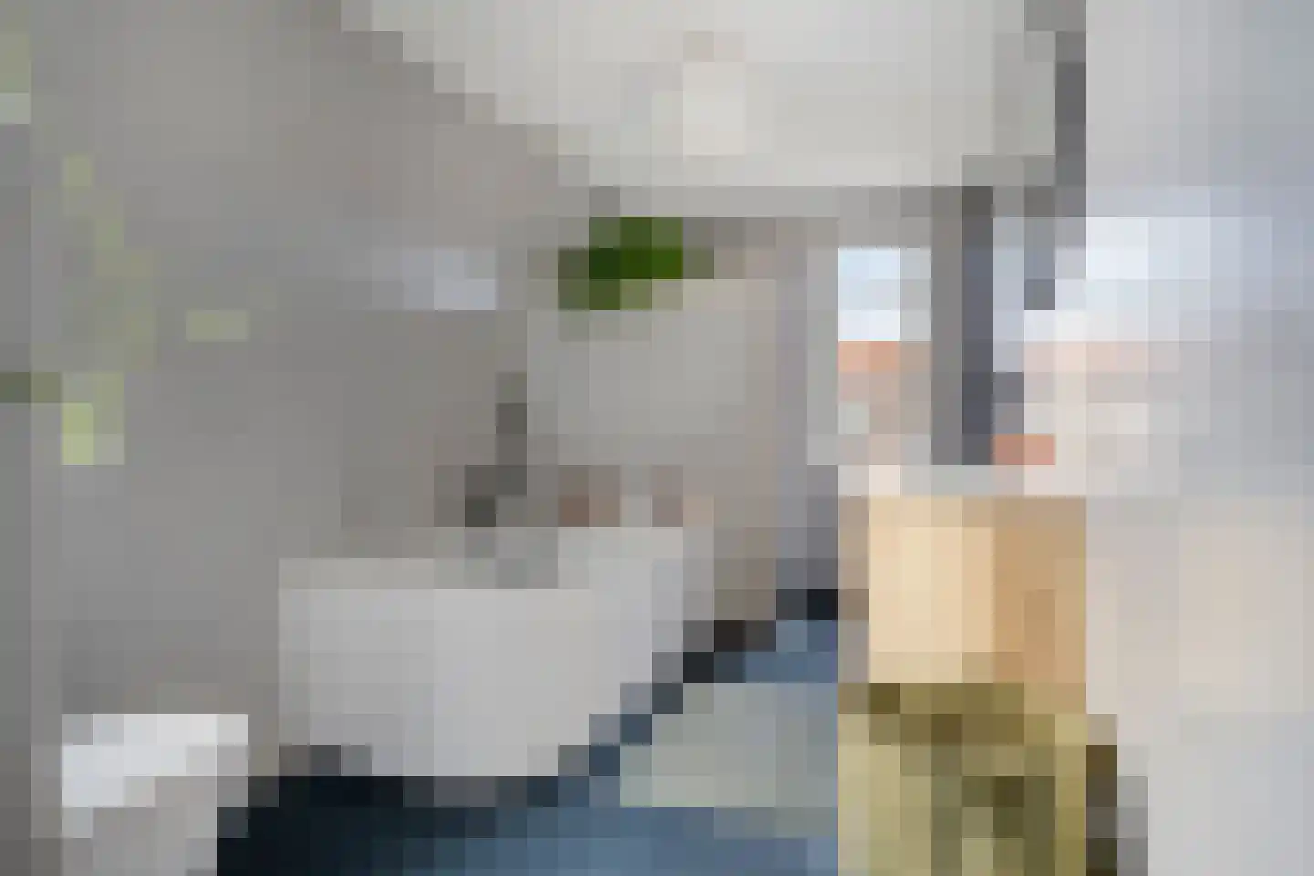 Buurthuisstraat 1 Noordwolde thumbnail 21