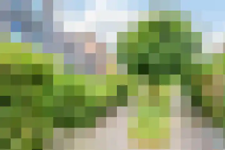 Buurtje 14 Hoorn thumbnail 32