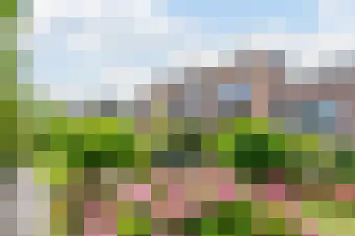 Buurtje 14 Hoorn thumbnail 4
