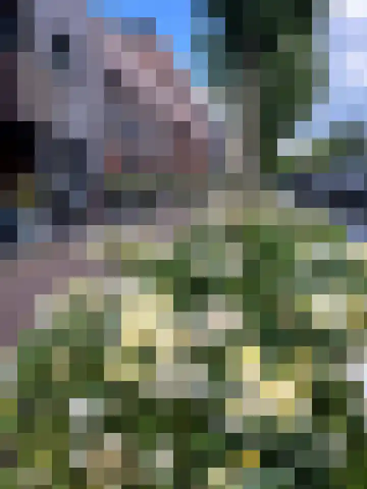 Buurtje 14 Hoorn thumbnail 6