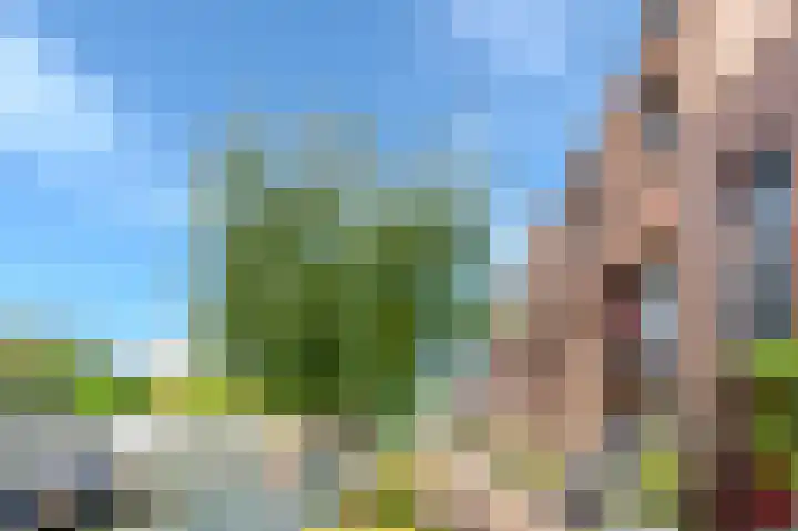 Buurtje 14 Hoorn thumbnail 8