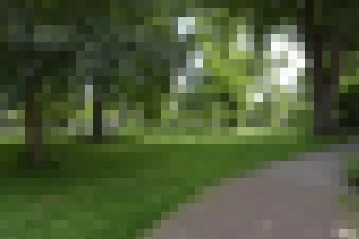 Buurtje 24 Hoorn thumbnail 27