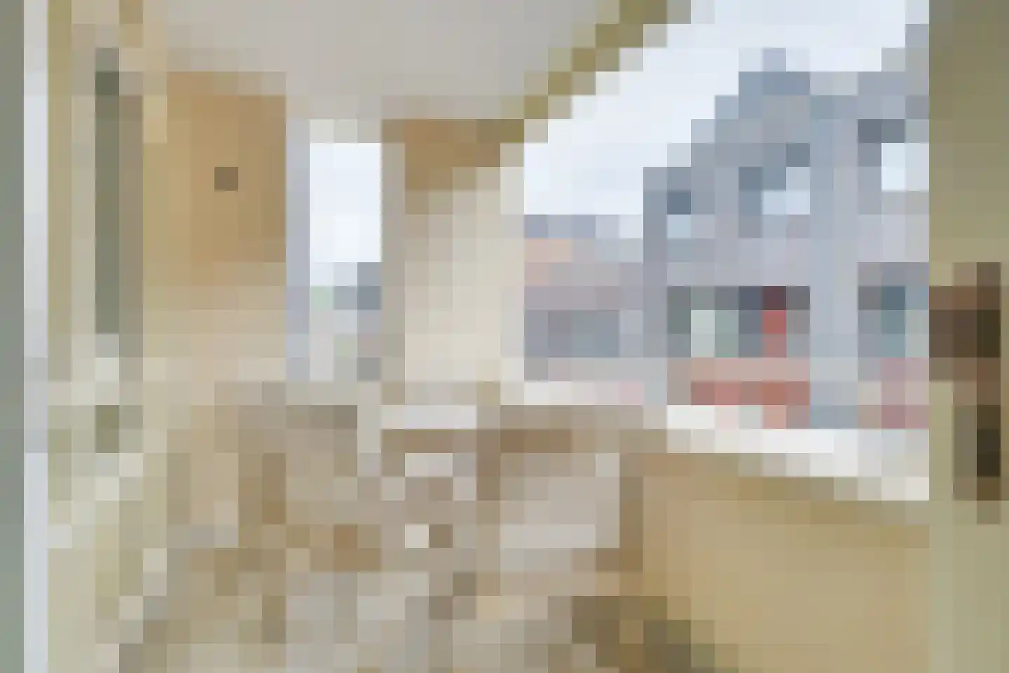 Buurtje 29 Hoorn thumbnail 5