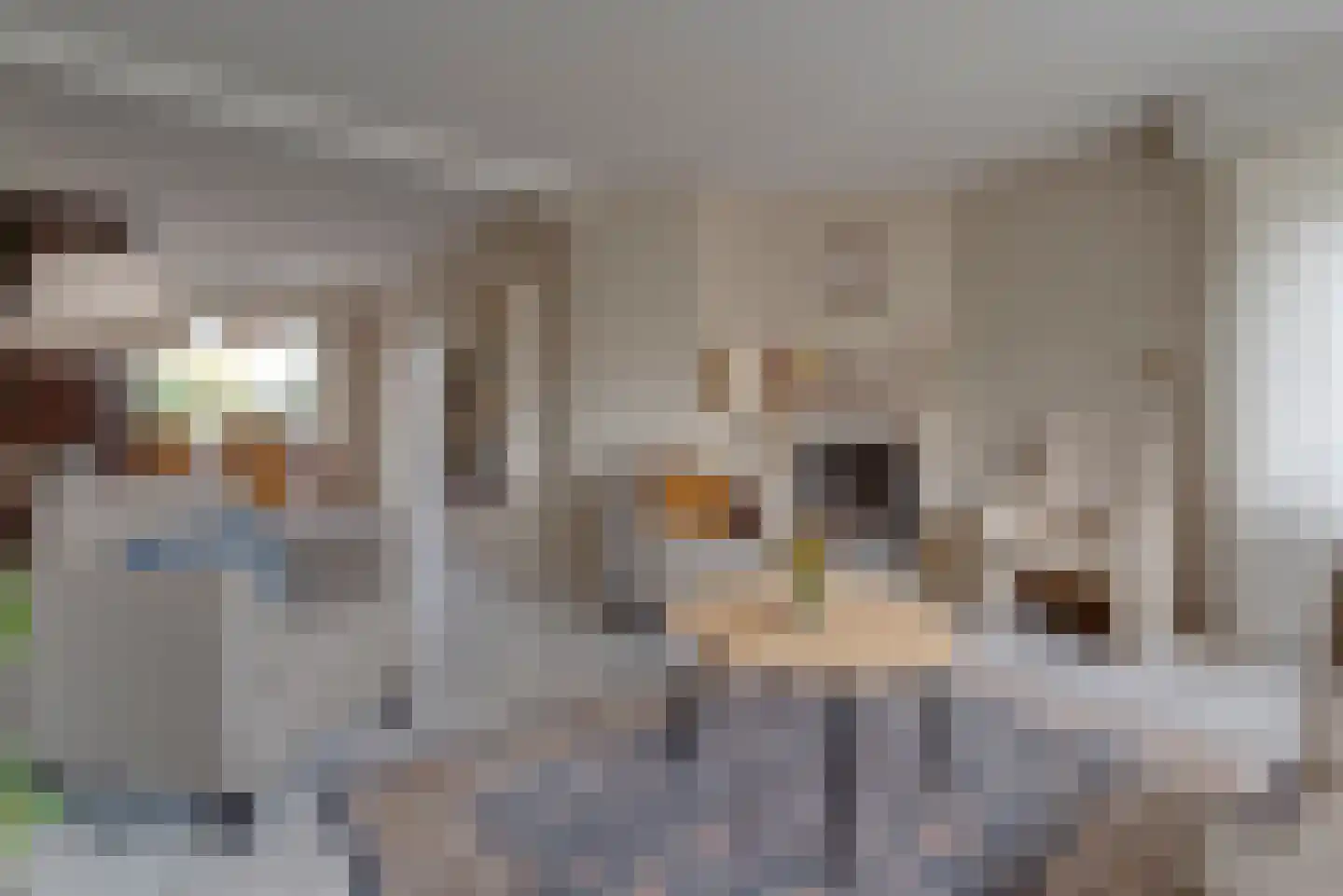 Buurtlaan oost 133 Veenendaal thumbnail 10