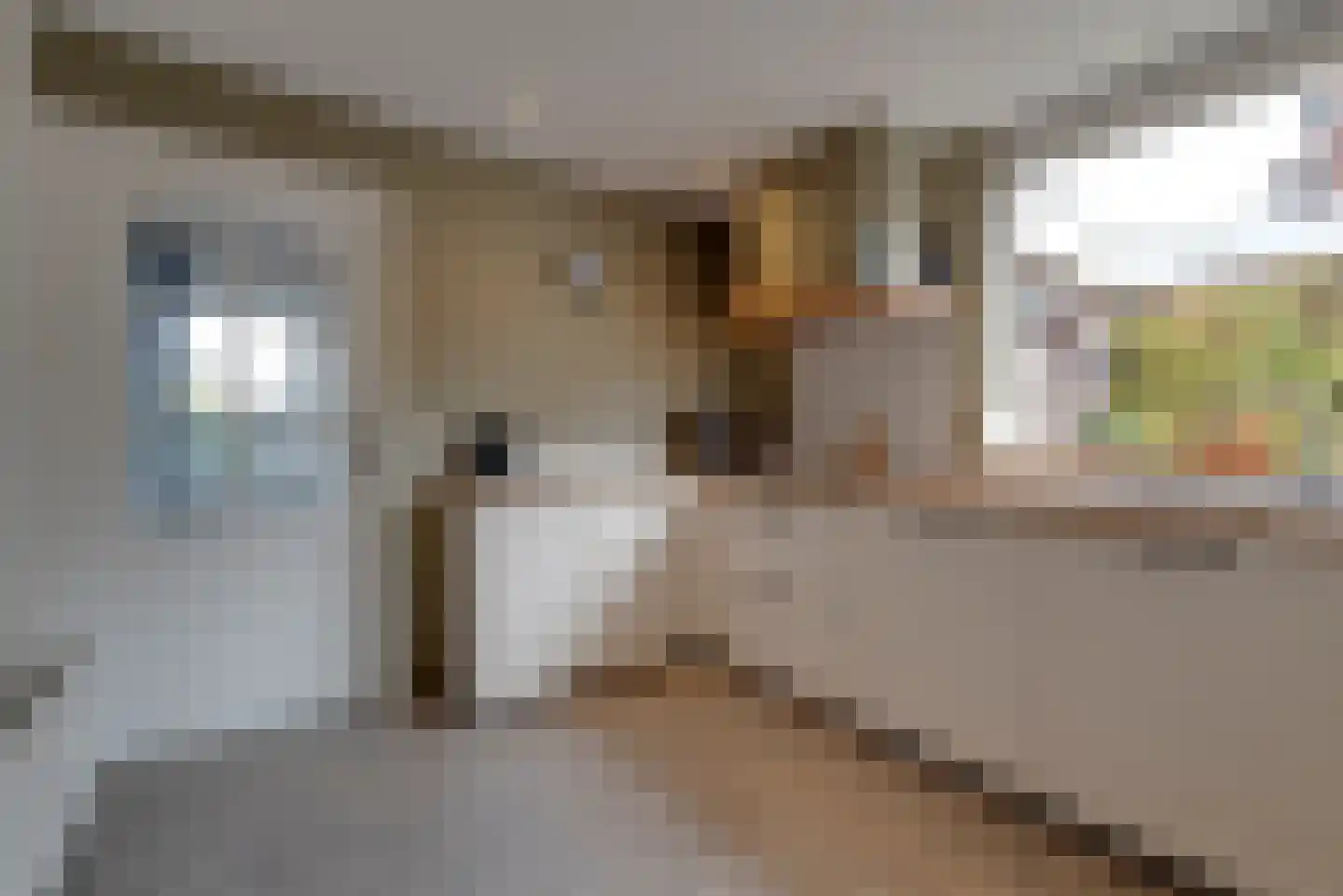 Buurtlaan oost 133 Veenendaal thumbnail 17