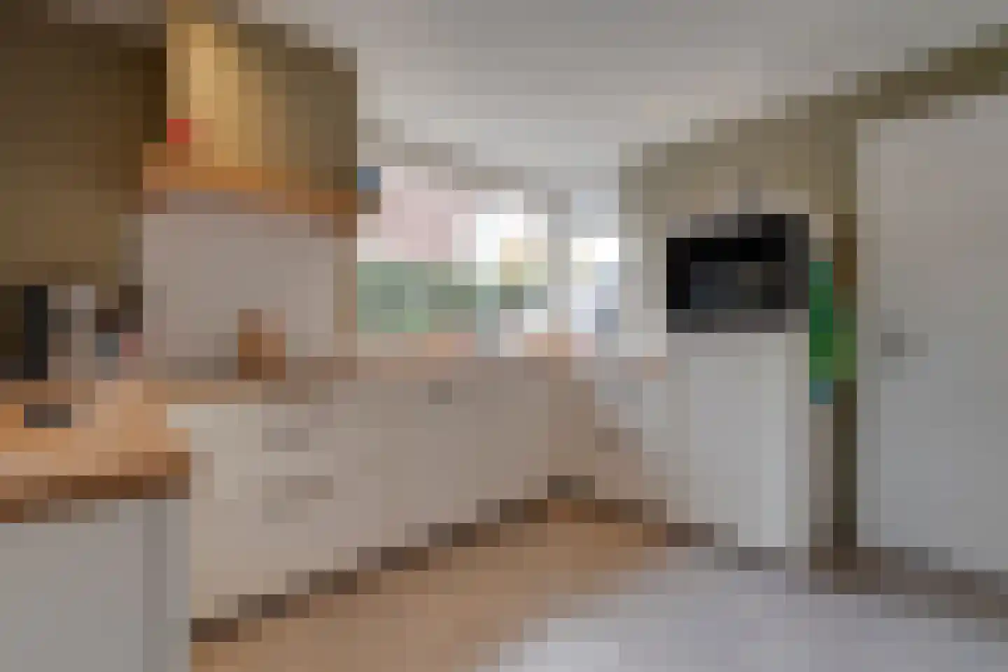 Buurtlaan oost 133 Veenendaal thumbnail 19