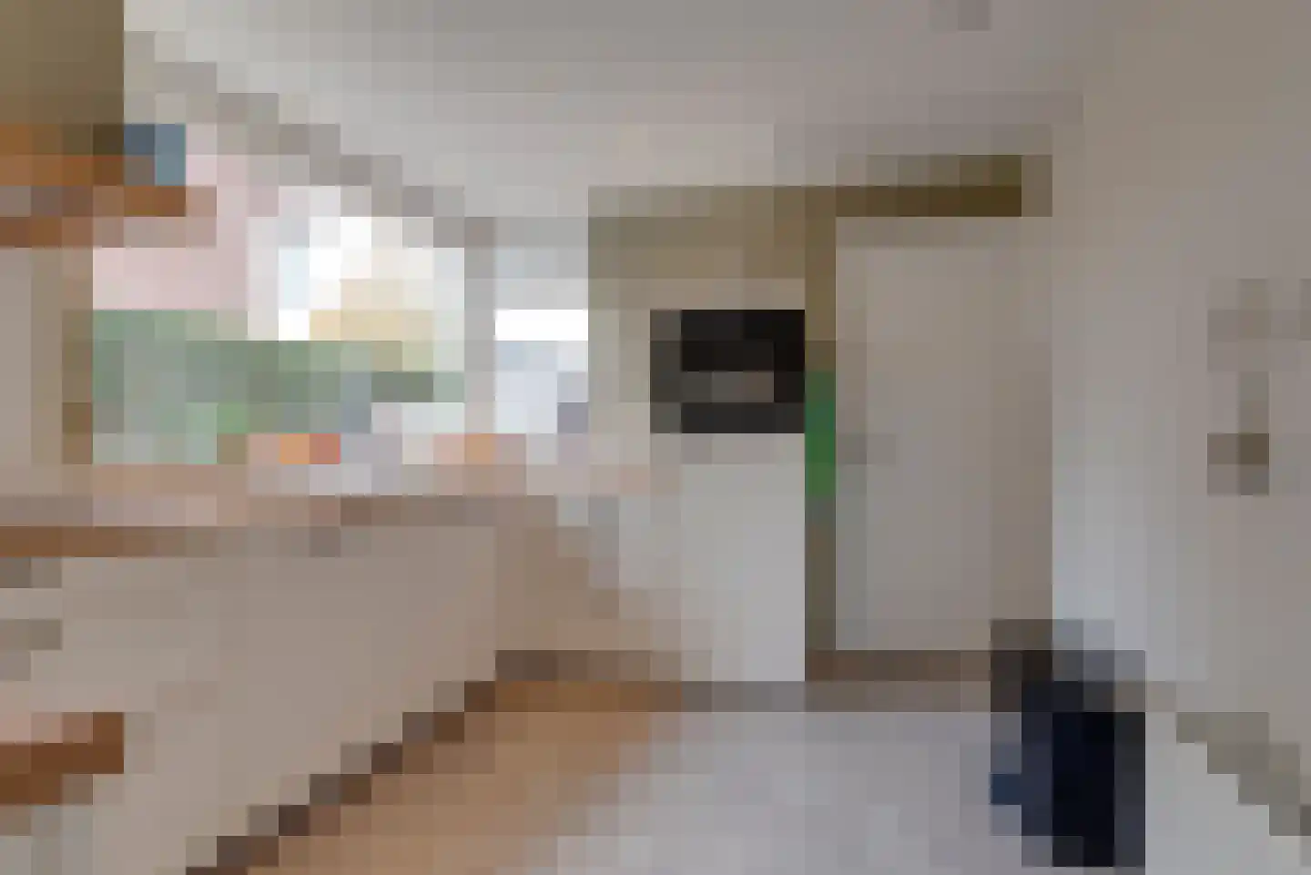 Buurtlaan oost 133 Veenendaal thumbnail 20