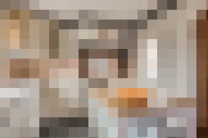 Buurtlaan oost 137 Veenendaal thumbnail 16
