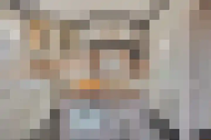 Buurtlaan oost 137 Veenendaal thumbnail 17